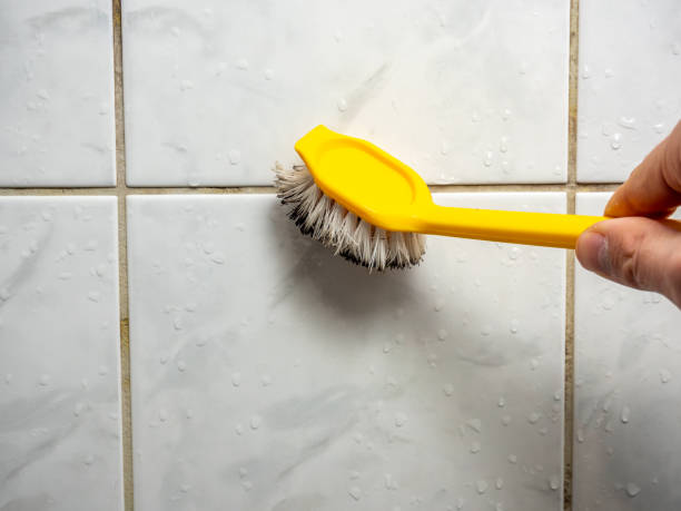 Best Attic Mold Removal  in Port St Joe, FL